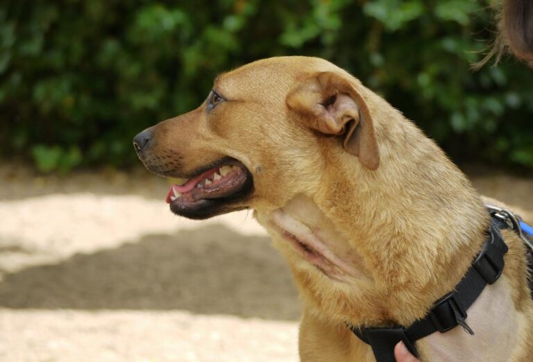 multimedia-foto78525-152-1