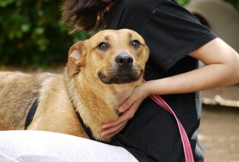 multimedia-foto78526-152-1