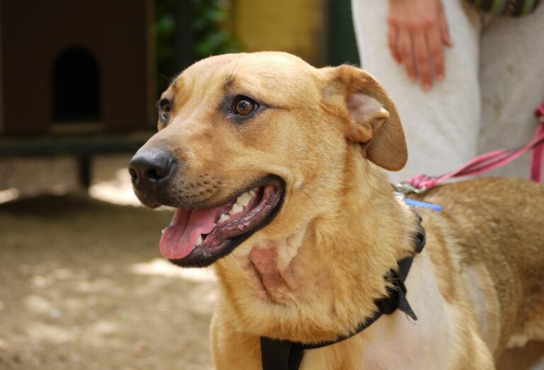 multimedia-foto78527-152-1