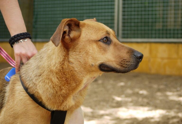 multimedia-foto78528-153-1