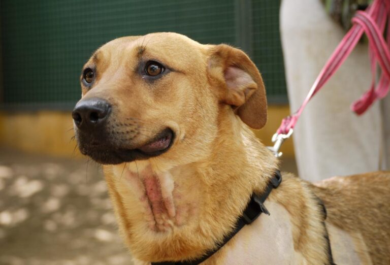 multimedia-foto78529-153-1