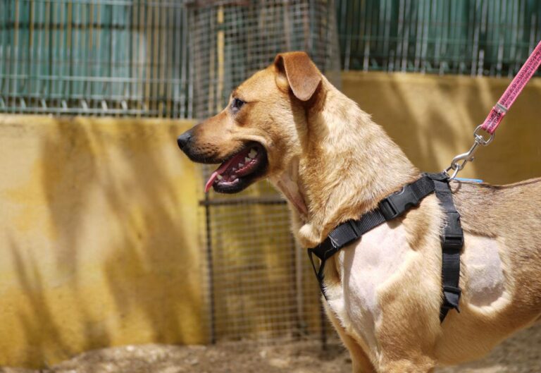 multimedia-foto78530-153-1