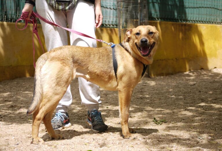 multimedia-foto78532-153-1