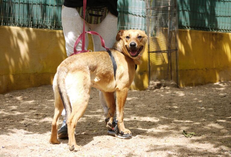 multimedia-foto78533-154-1