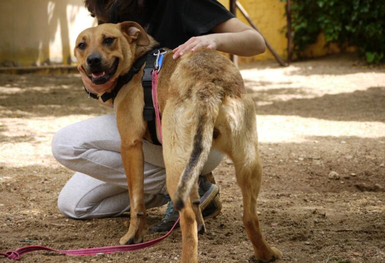 multimedia-foto78534-154-1