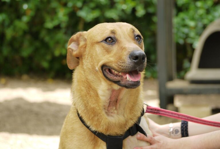 multimedia-foto78535-154-1