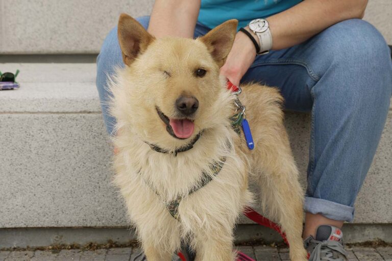 multimedia-foto78607-2-1