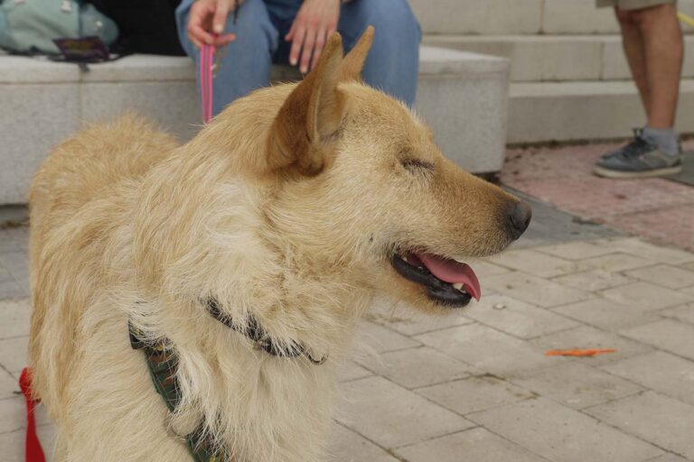 multimedia-foto78608-2-1