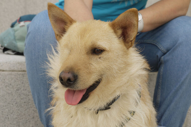 multimedia-foto78609-2-1