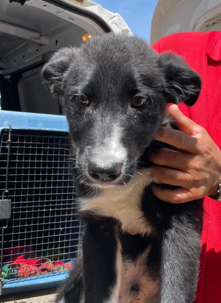 multimedia-foto78616-748-1