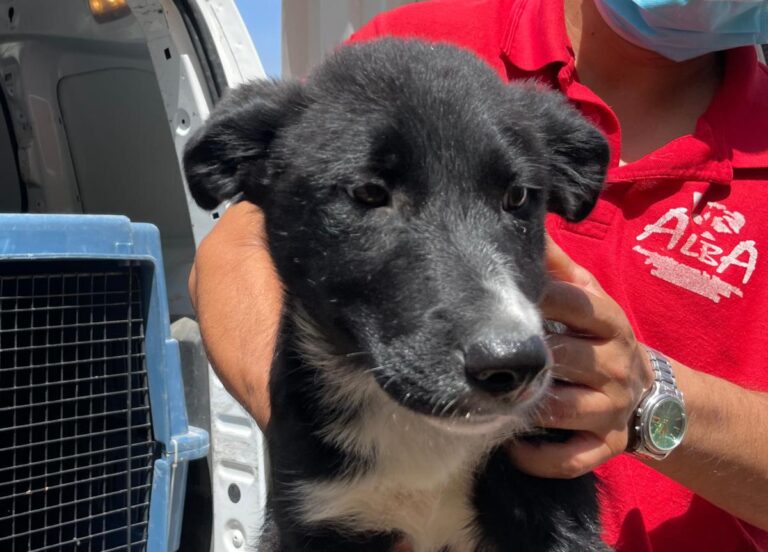 multimedia-foto78617-749-1