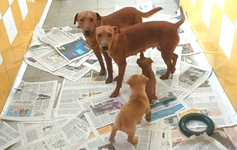 multimedia-foto78637-888-1