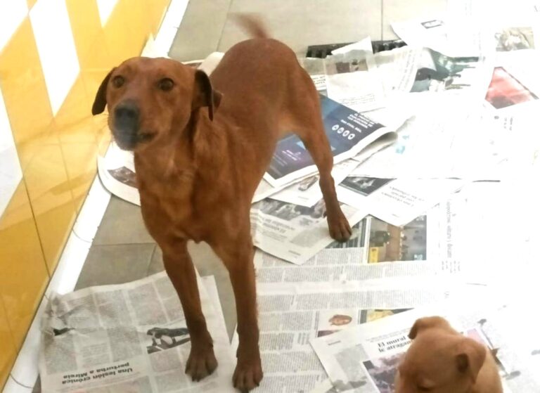 multimedia-foto78639-888-1