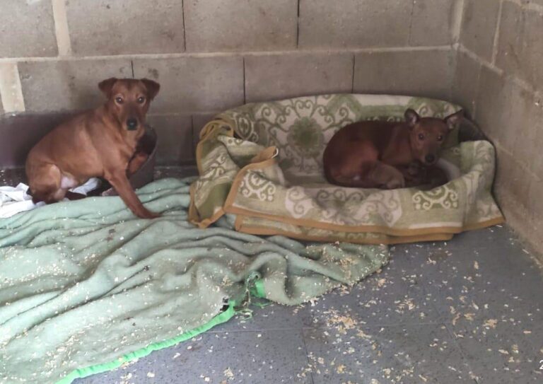 multimedia-foto78642-889-1