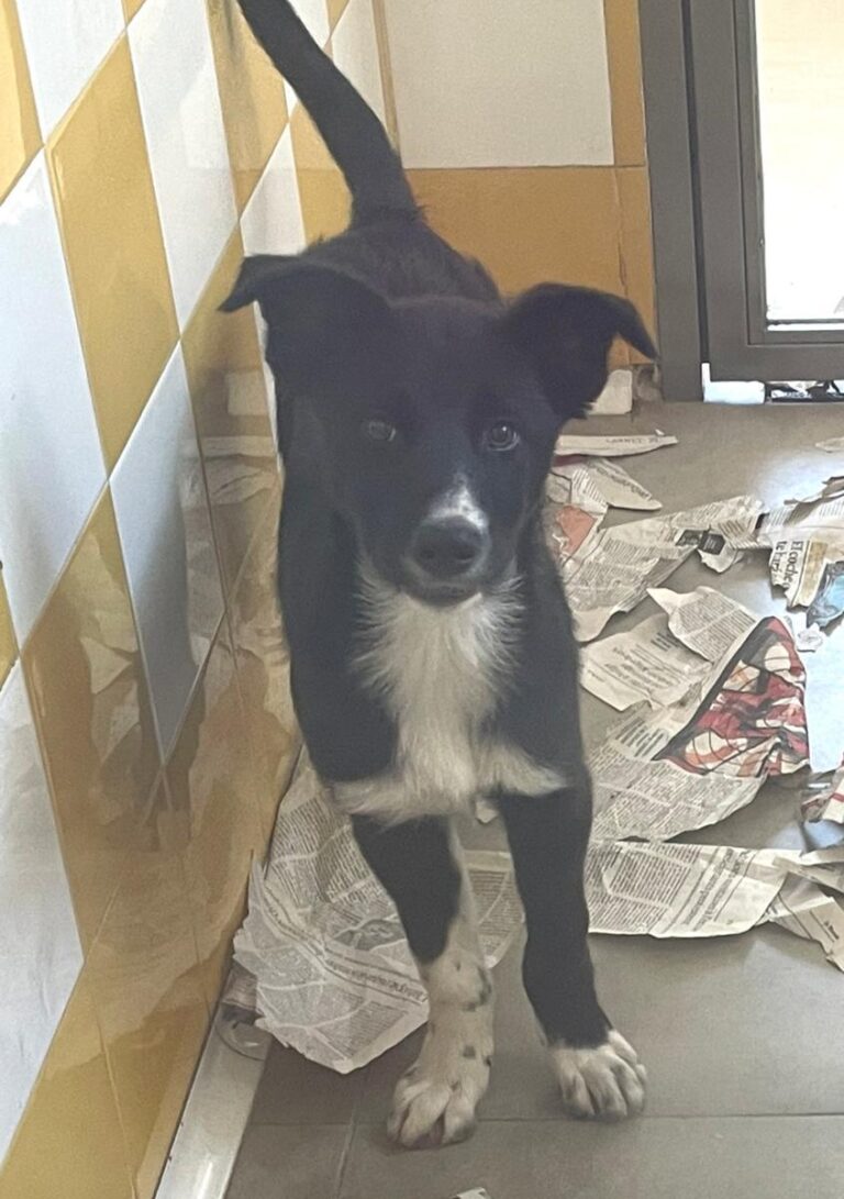 multimedia-foto78667-907-1