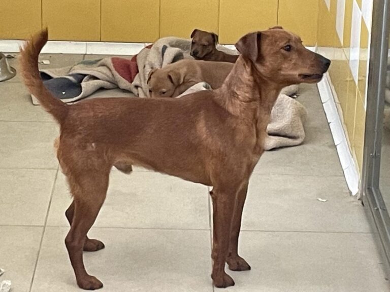 multimedia-foto78684-131-1