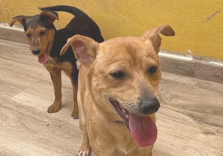 multimedia-foto78690-125-1