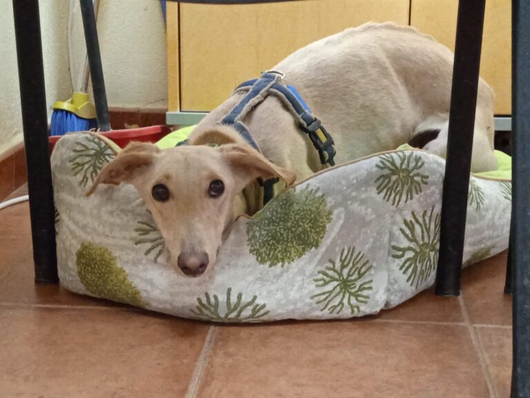 multimedia-foto78707-393-1