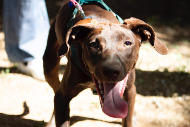 multimedia-foto78745-94-1