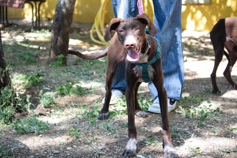 multimedia-foto78747-94-1