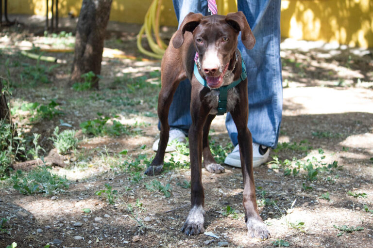 multimedia-foto78748-94-1