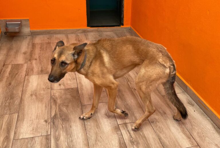 multimedia-foto78754-722-1