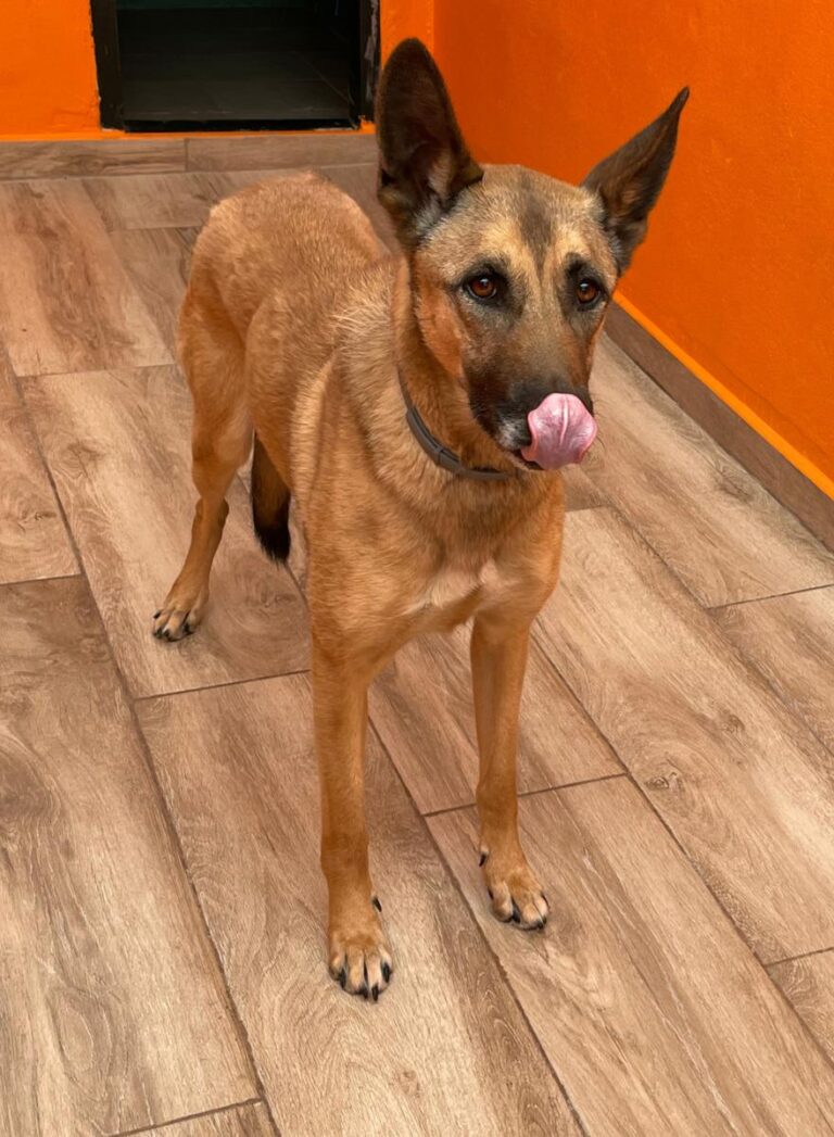 multimedia-foto78755-723-1