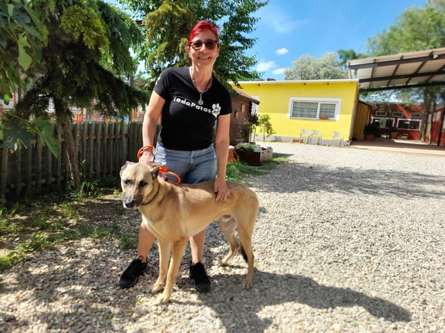 multimedia-foto78757-723-1