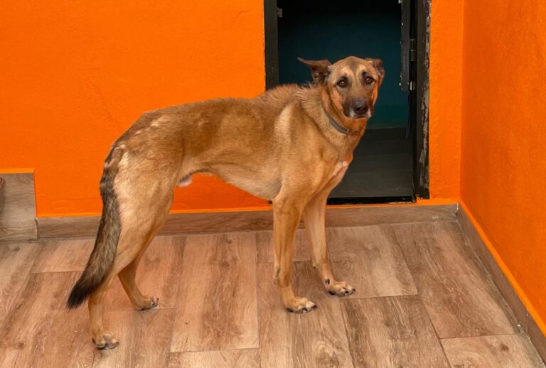 multimedia-foto78758-723-1