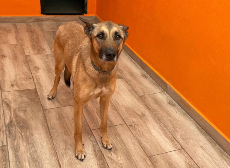 multimedia-foto78759-723-1