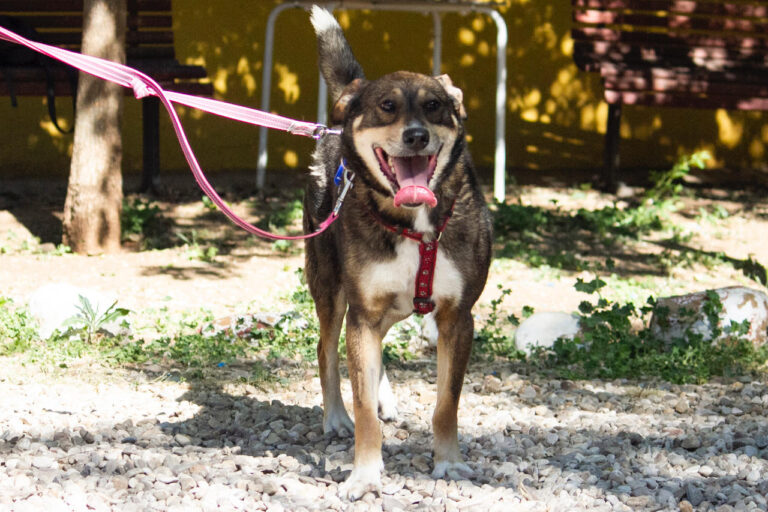 multimedia-foto78775-6-1