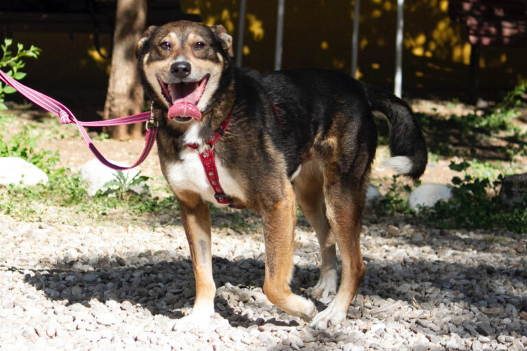 multimedia-foto78776-6-1