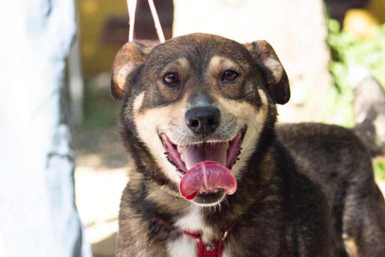 multimedia-foto78777-7-1