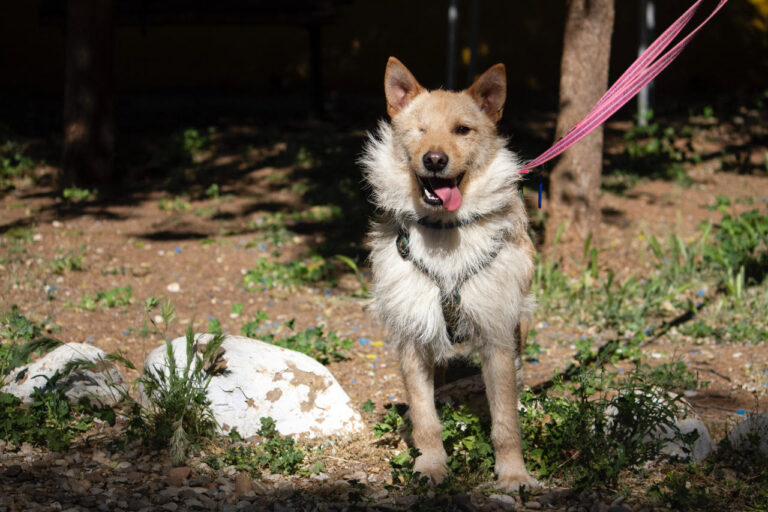 multimedia-foto78778-54-1