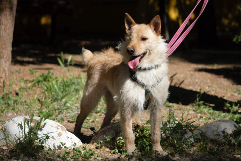 multimedia-foto78781-55-1