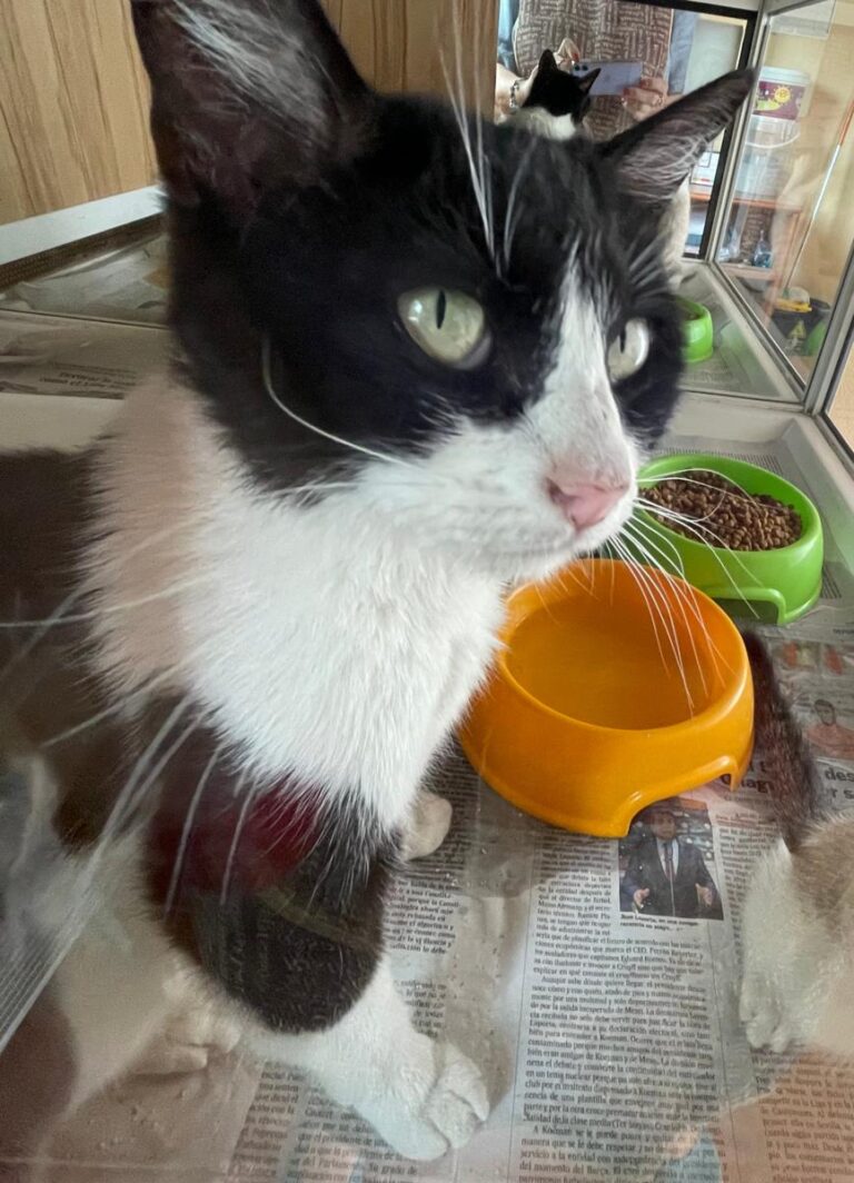 multimedia-foto78803-881-1