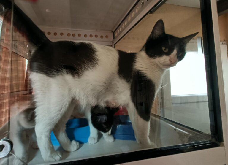 multimedia-foto78805-881-1