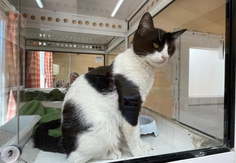 multimedia-foto78806-881-1