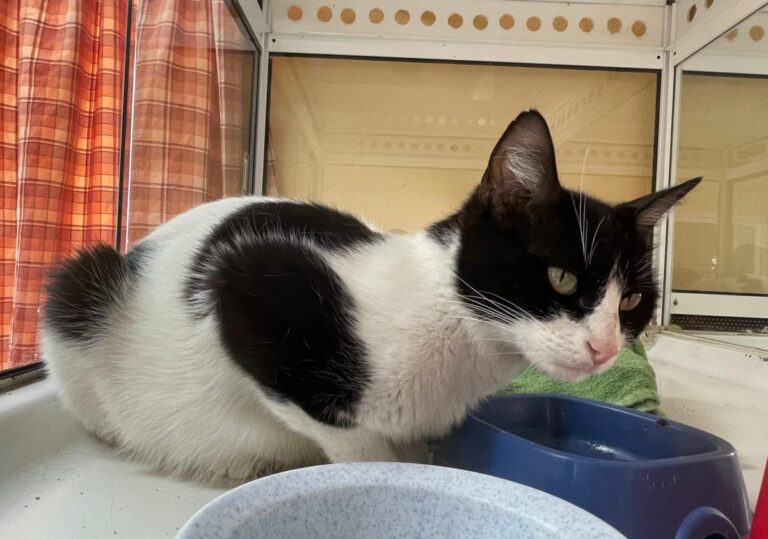 multimedia-foto78808-882-1