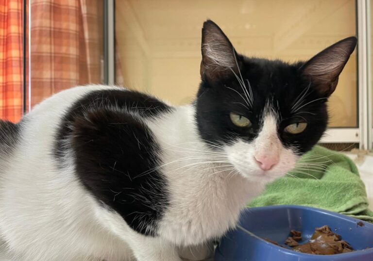 multimedia-foto78809-882-1