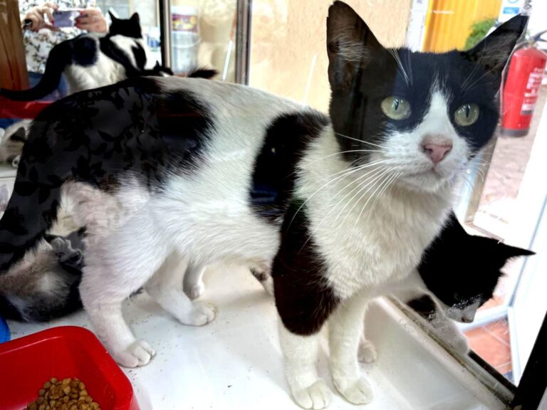 multimedia-foto78810-882-1