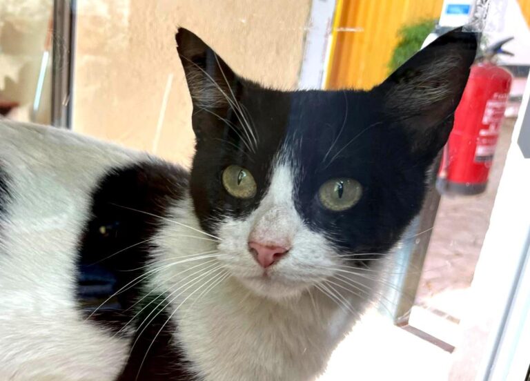 multimedia-foto78811-882-1