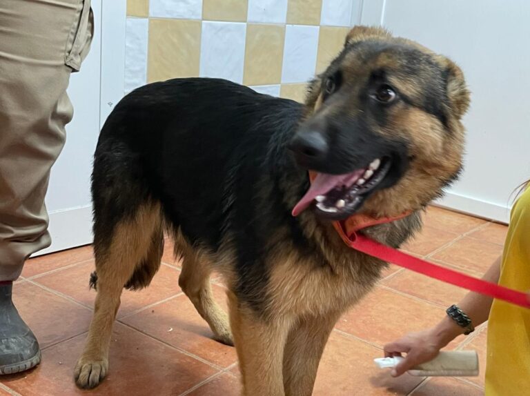 multimedia-foto78846-941-1