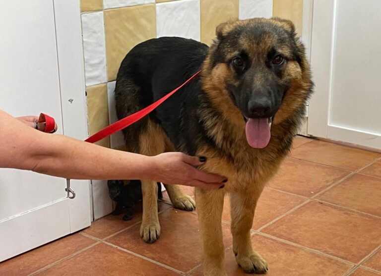 multimedia-foto78847-941-1