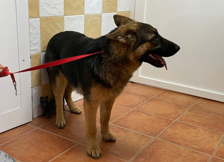 multimedia-foto78848-941-1