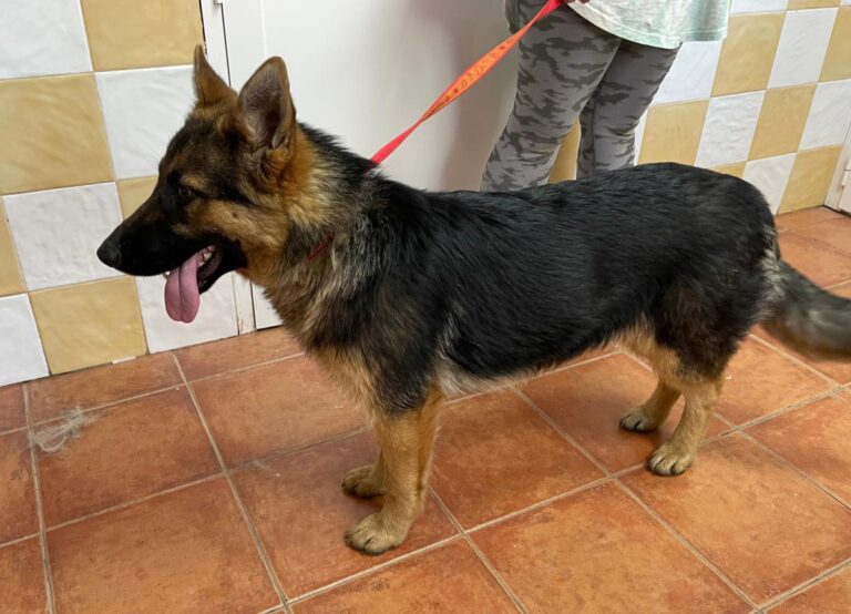 multimedia-foto78849-942-1