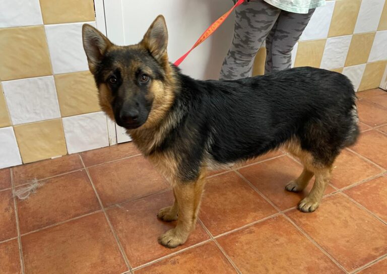 multimedia-foto78850-942-1