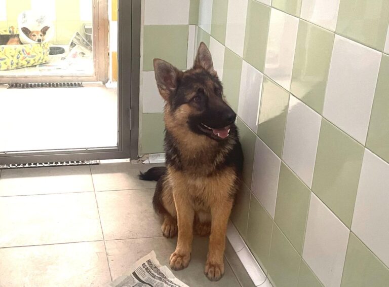 multimedia-foto78852-942-1