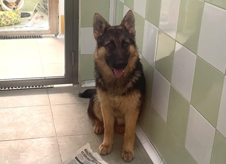 multimedia-foto78853-942-1