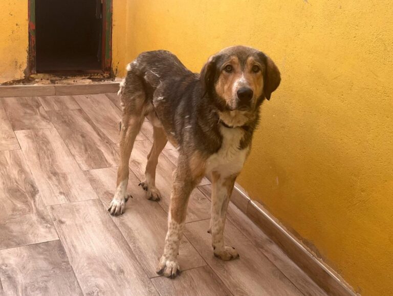 multimedia-foto78874-393-1